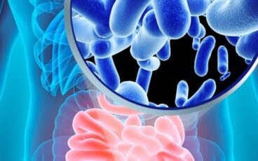 microbiota intestinale